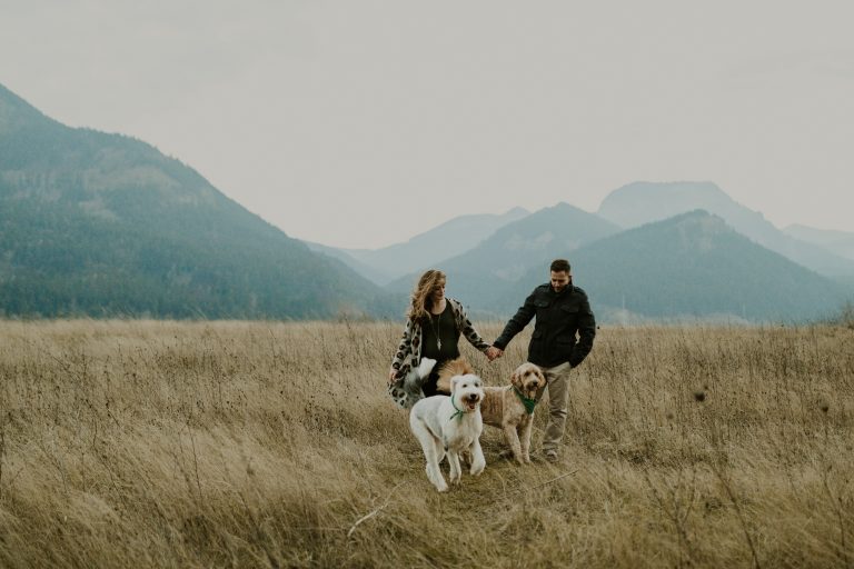 ali-rae-photography-pnw-winter-maternity-session-columbia-river-gorge-washington